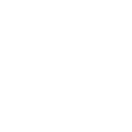 Helvektis